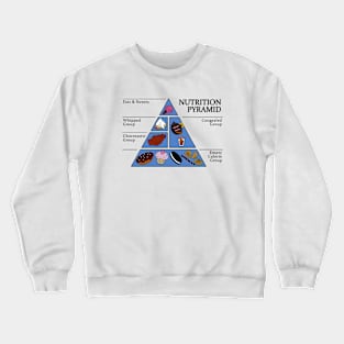 Nutrition Pyramid Crewneck Sweatshirt